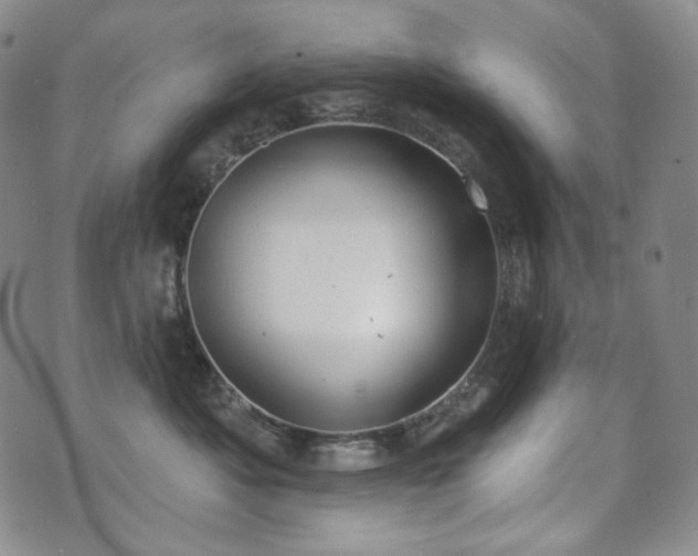 X0000071960525200607141437