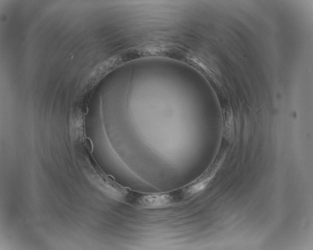 X0000071960526200607141437