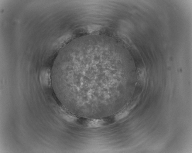 X0000071960527200607141437