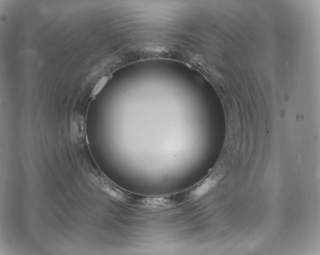 X0000071960528200607141437