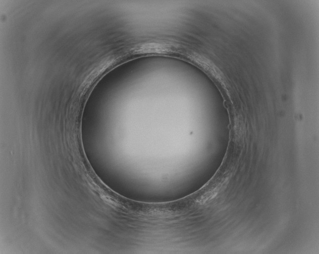 X0000071960529200607141437