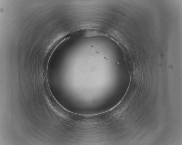 X0000071960530200607141437