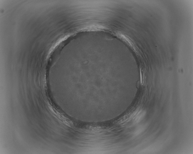 X0000071960531200607141437