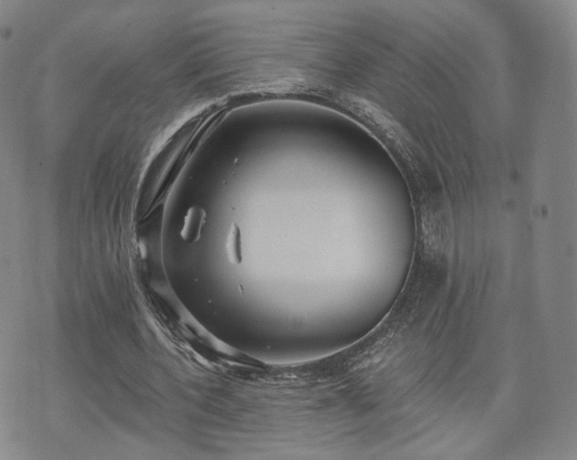 X0000071960532200607141437