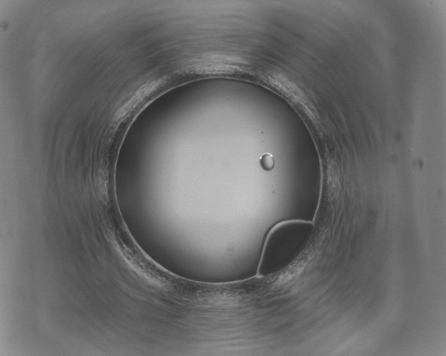 X0000071960533200607141437