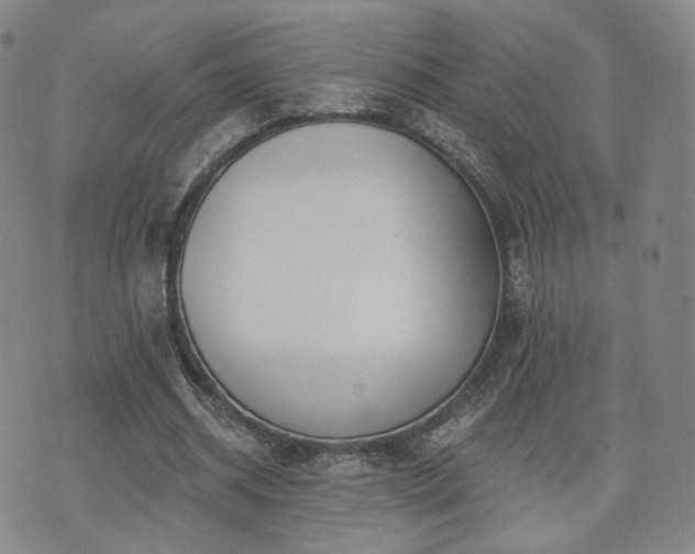 X0000071960534200607141437