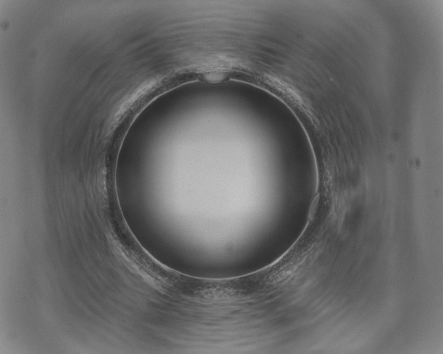 X0000071960535200607141437