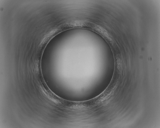 X0000071960537200607141437