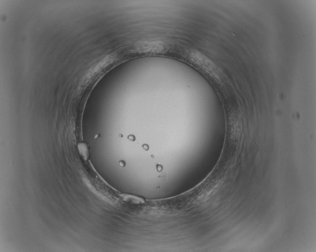 X0000071960538200607141437