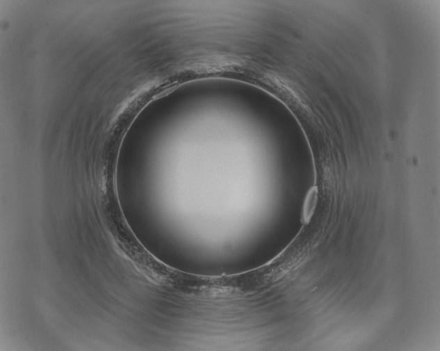 X0000071960539200607141437