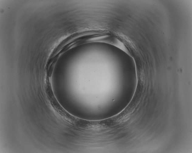 X0000071960540200607141437