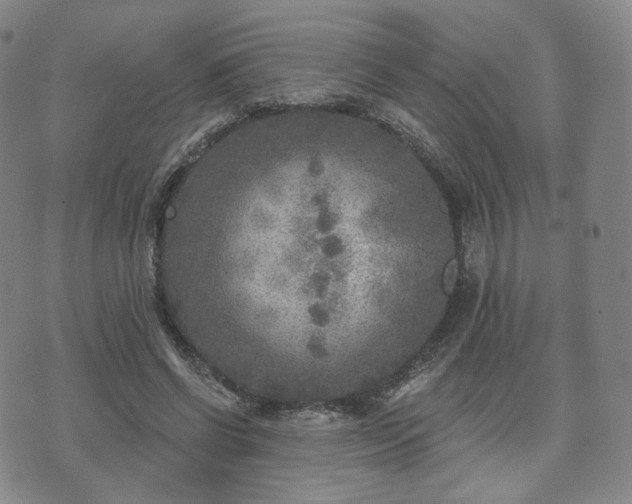 X0000071960542200607141437