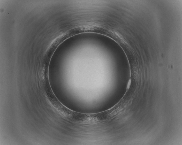 X0000071960543200607141437