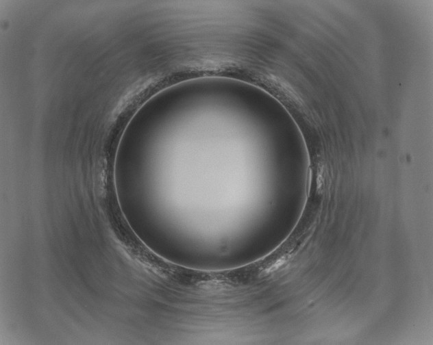 X0000071960544200607141437