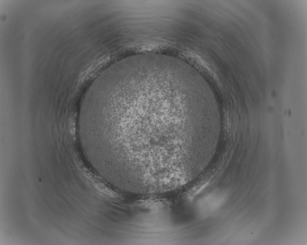 X0000071960545200607141437