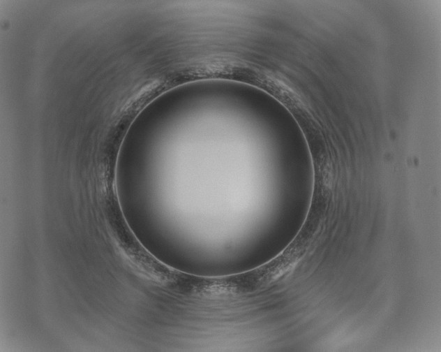 X0000071960546200607141437