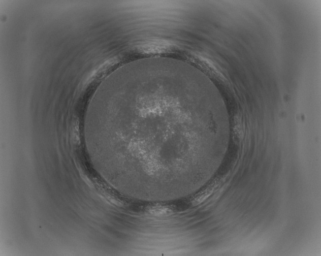 X0000071960547200607141437