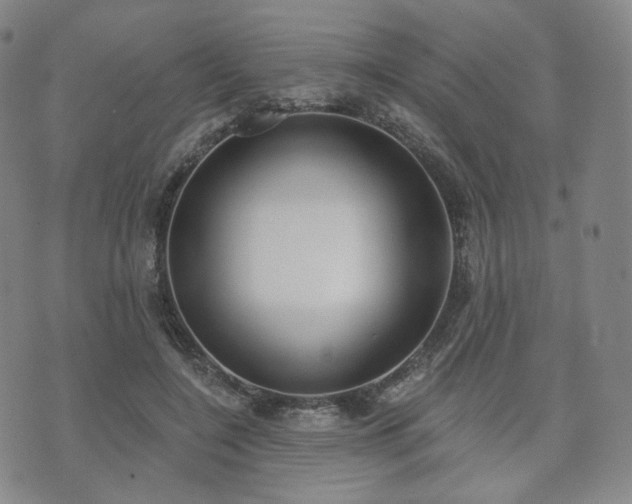 X0000071960548200607141437