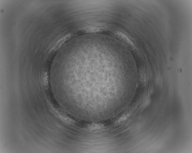 X0000071960549200607141437