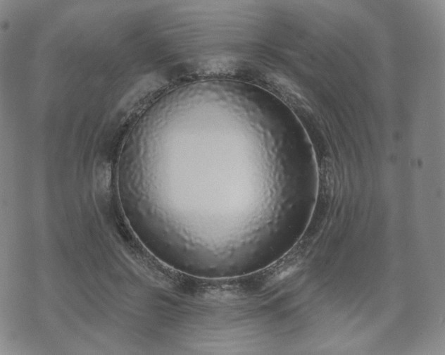 X0000071960550200607141437