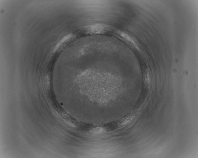 X0000071960551200607141437