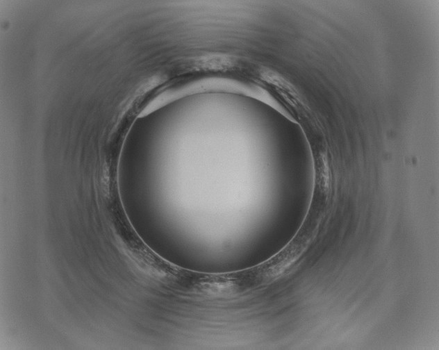 X0000071960552200607141437