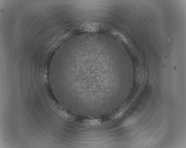 X0000071960553200607141437