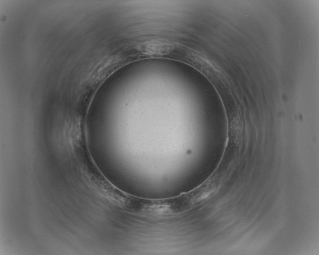 X0000071960554200607141437