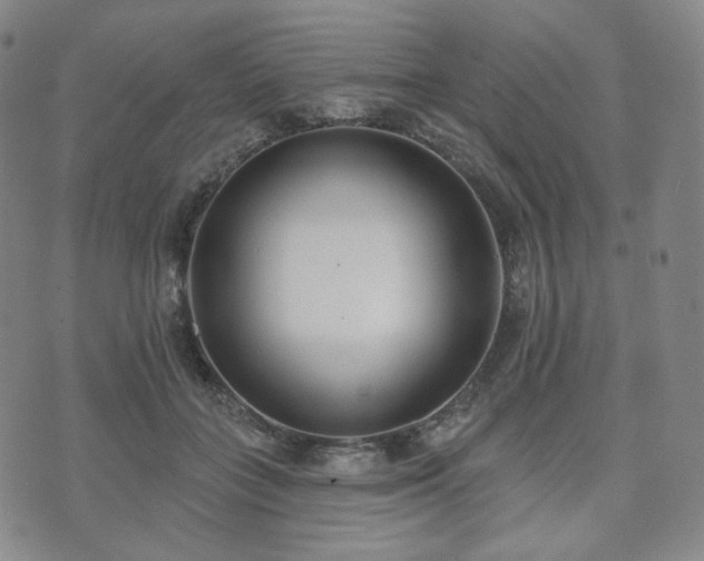 X0000071960555200607141437