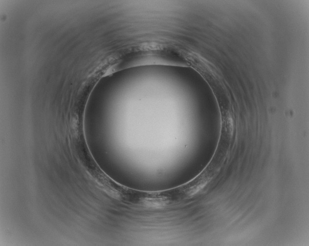 X0000071960556200607141437