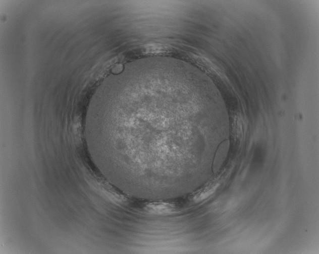 X0000071960557200607141437