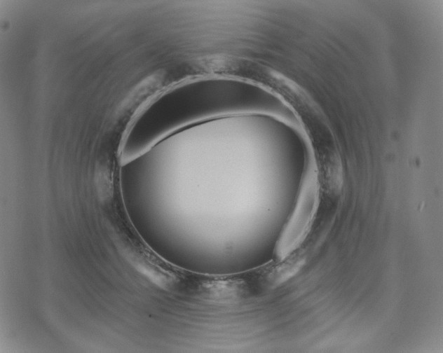 X0000071960558200607141437