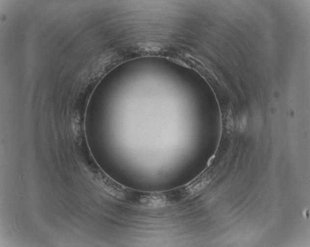 X0000071960559200607141437