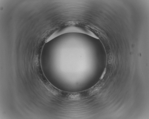 X0000071960560200607141437