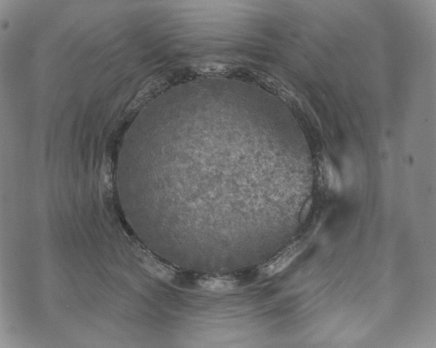 X0000071960561200607141437