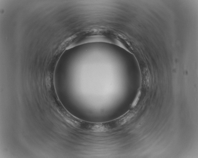 X0000071960562200607141437