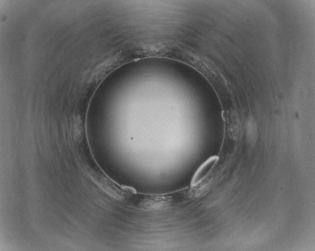 X0000071960563200607141437