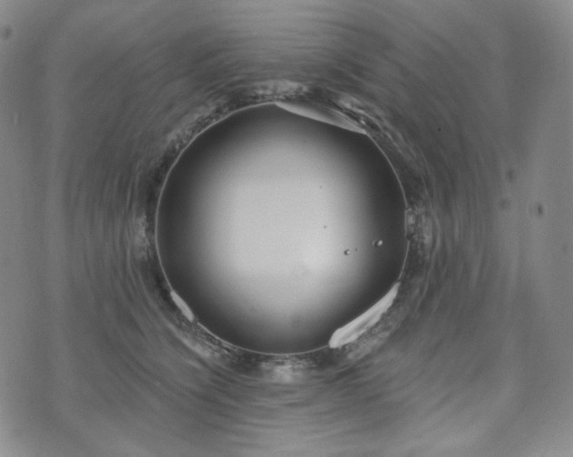 X0000071960564200607141437