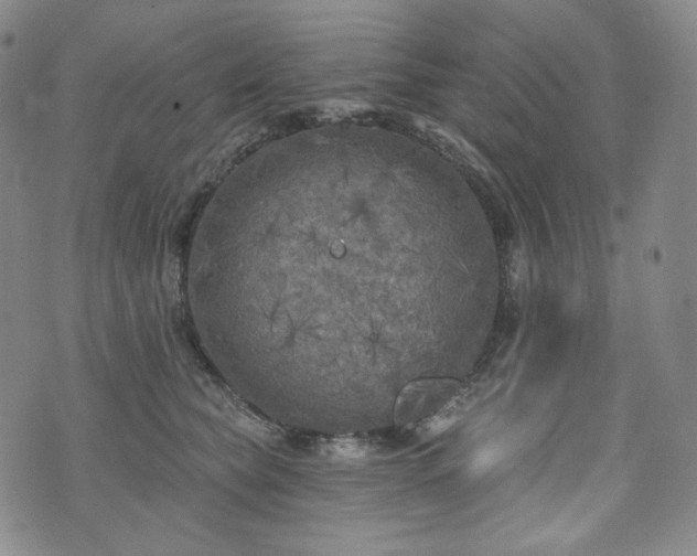 X0000071960565200607141437