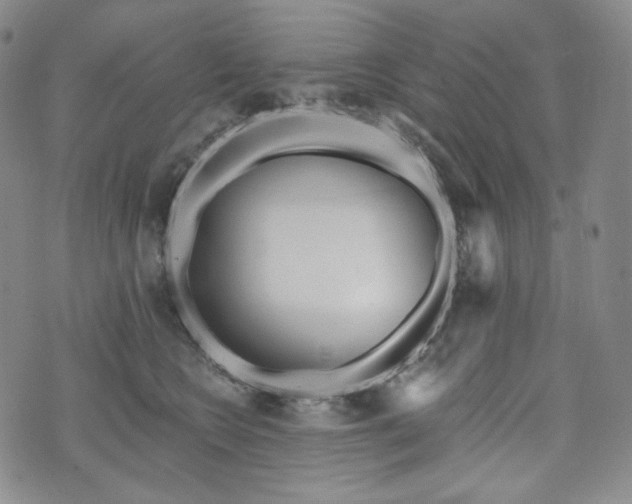 X0000071960566200607141437