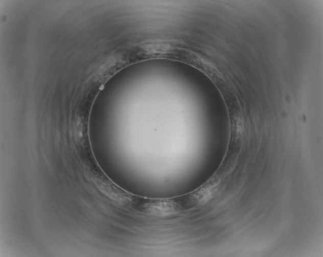 X0000071960567200607141437