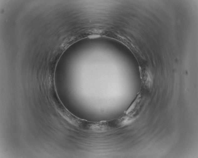 X0000071960568200607141437