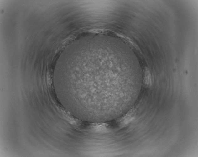 X0000071960569200607141437