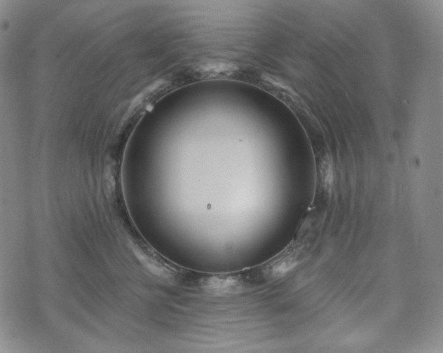 X0000071960570200607141437