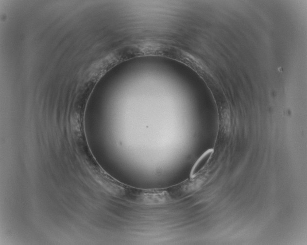 X0000071960571200607141437