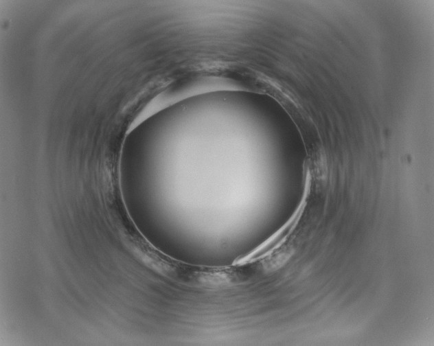 X0000071960572200607141437