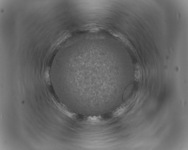 X0000071960573200607141437