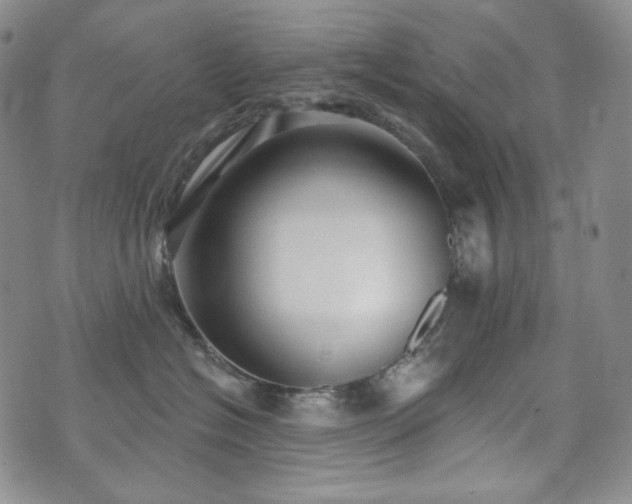 X0000071960574200607141437