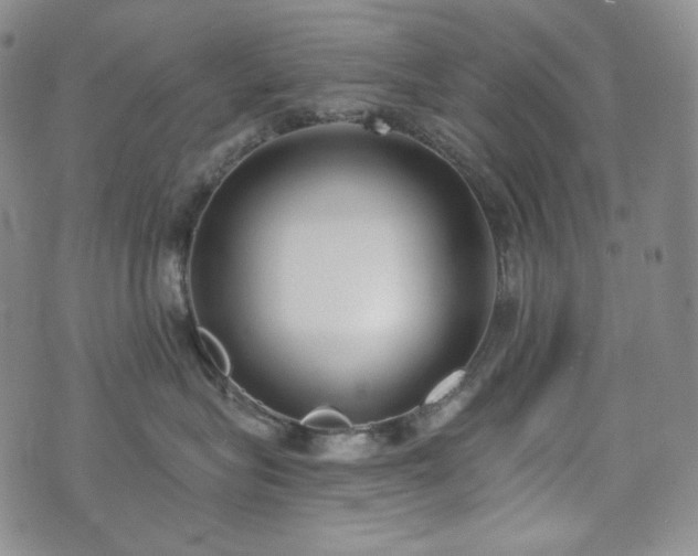 X0000071960575200607141437