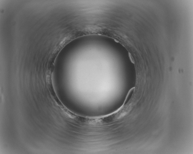 X0000071960576200607141437